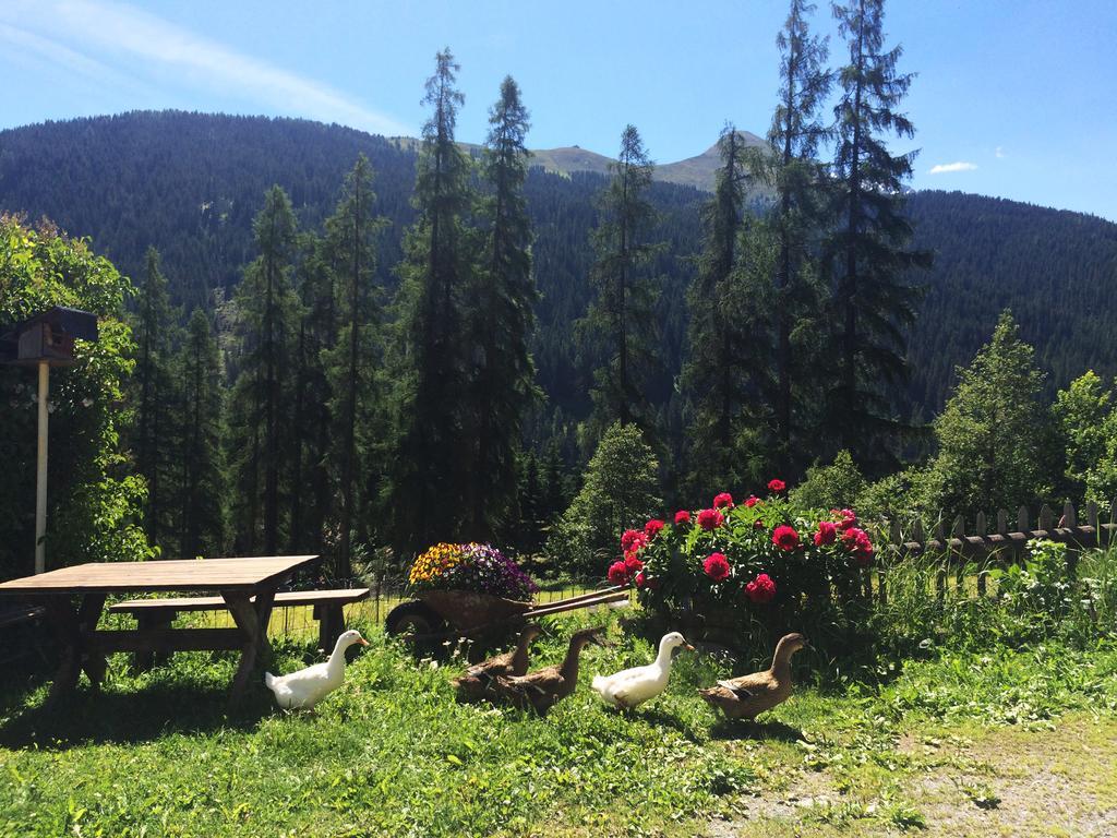 Bnb Guesthouse Lusi Frauenkirch Esterno foto